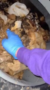 Free Scat Porn