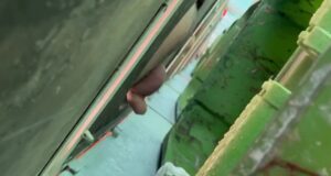 Free Scat Porn