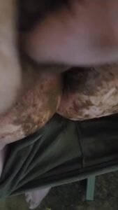 Free Scat Porn