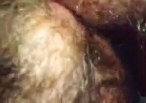 Free Scat Porn