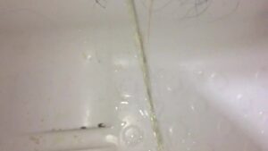 Free Scat Porn