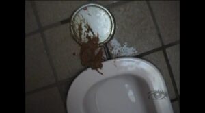 Free Scat Porn