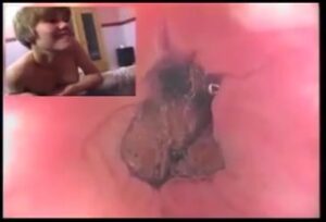 Free Scat Porn