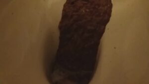 Free Scat Porn