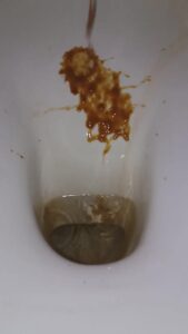 Free Scat Porn