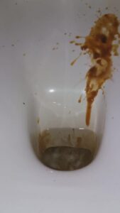 Free Scat Porn