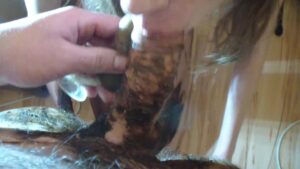 Free Scat Porn