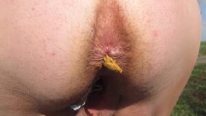 Free Scat Porn