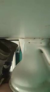 Free Scat Porn
