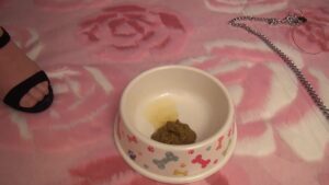 Free Scat Porn