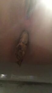 Free Scat Porn