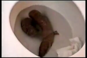 Free Scat Porn