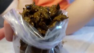 Free Scat Porn