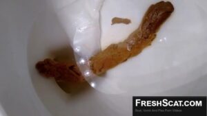 Free Scat Porn