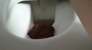 Free Scat Porn