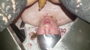 Free Scat Porn