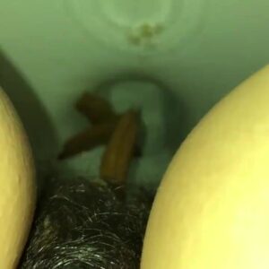 Free Scat Porn
