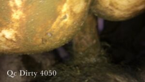 Free Scat Porn