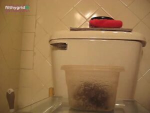 Free Scat Porn