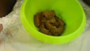 Free Scat Porn