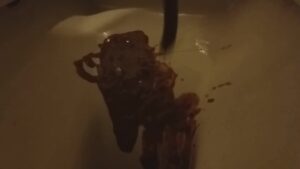 Free Scat Porn