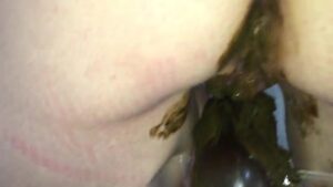 Free Scat Porn