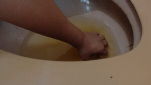 Free Scat Porn
