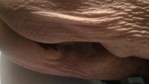 Free Scat Porn