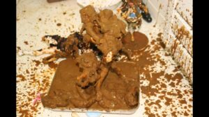 Free Scat Porn