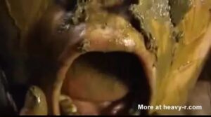 Free Scat Porn