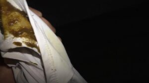 Free Scat Porn