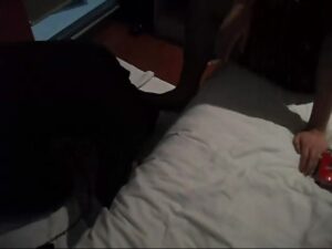 Free Scat Porn