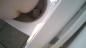 Free Scat Porn