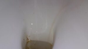 Free Scat Porn