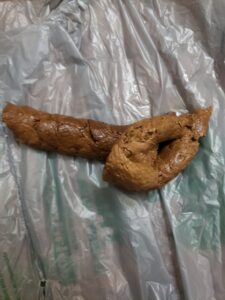 Free Scat Porn