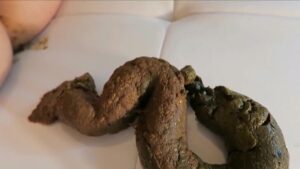 Free Scat Porn