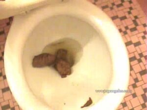 Free Scat Porn