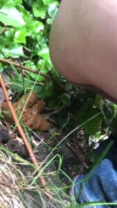 Free Scat Porn