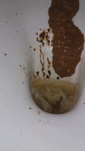 Free Scat Porn