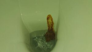 Free Scat Porn