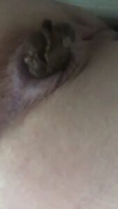 Free Scat Porn