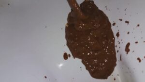 Free Scat Porn