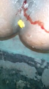 Free Scat Porn