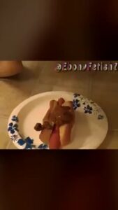 Free Scat Porn