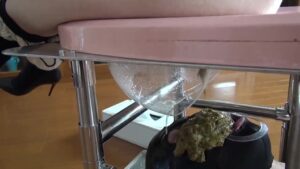 Free Scat Porn