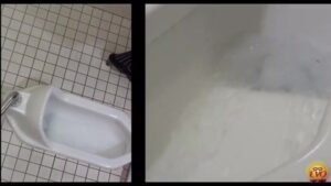 Free Scat Porn