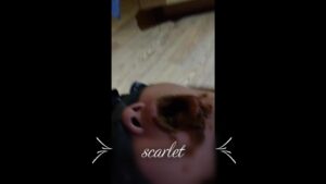 Free Scat Porn