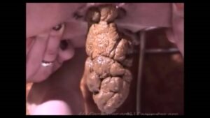 Free Scat Porn