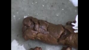 Free Scat Porn