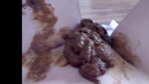 Free Scat Porn